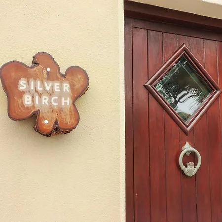 Ferienhaus Silver Birch