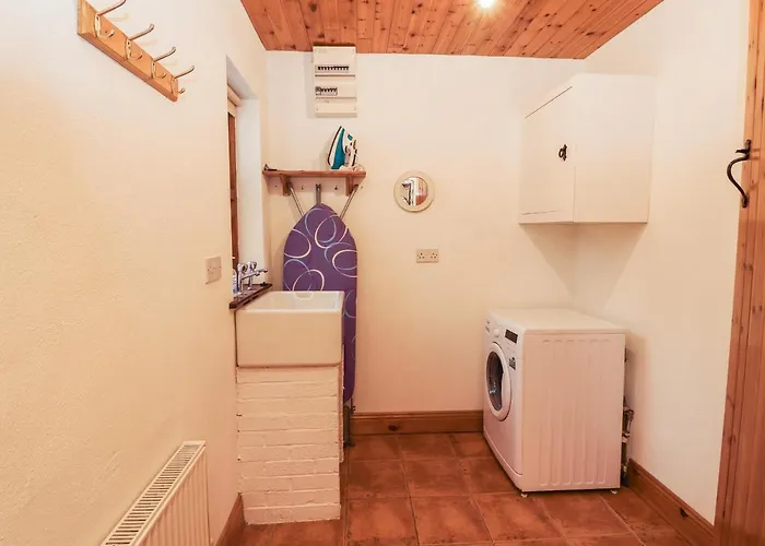 Silver Birch Cuar an Chláir